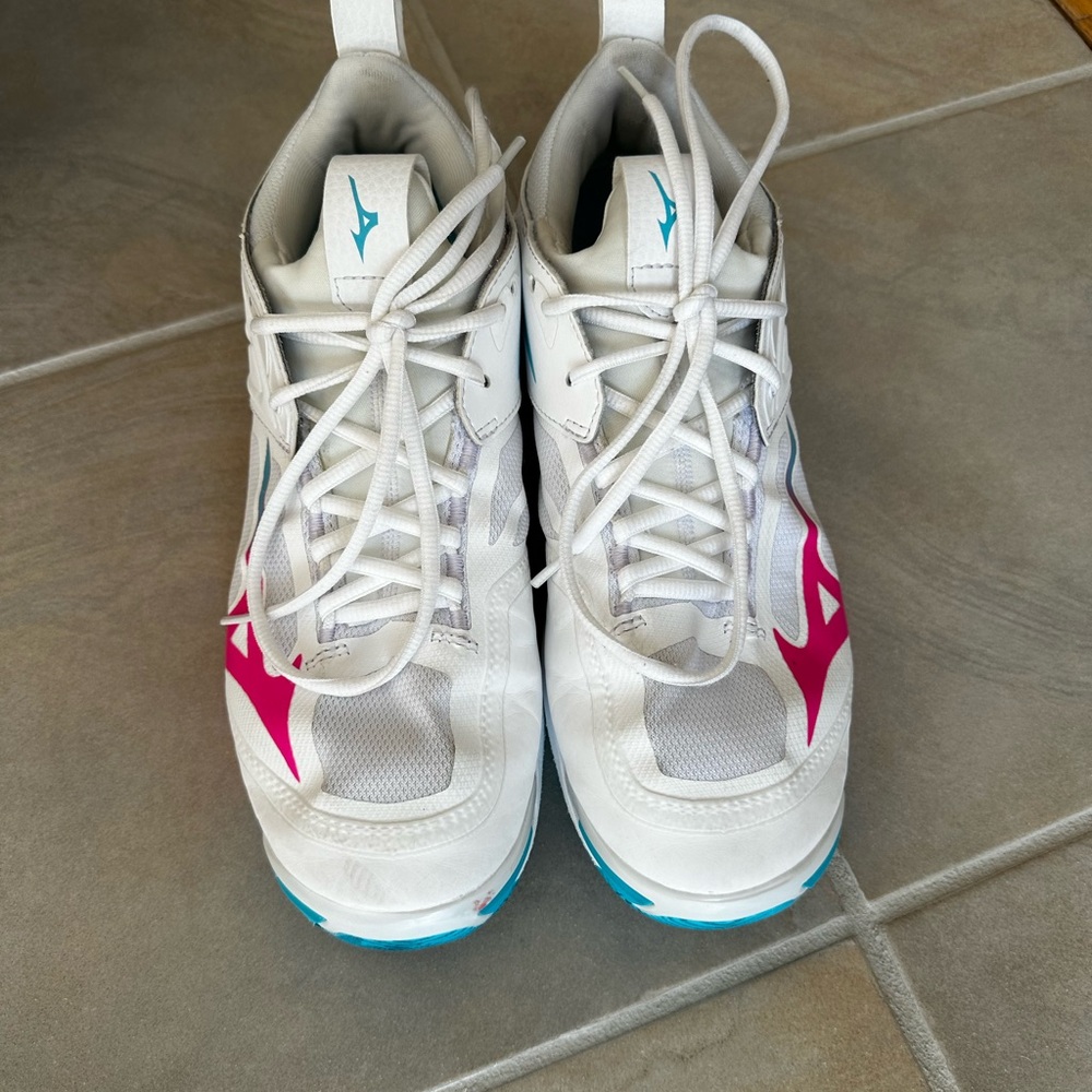 Mizuno Wave Momentum 2 Volleyball Shoes